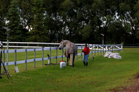 00001 - 2026 Dressage Festival - Sunday July 5th