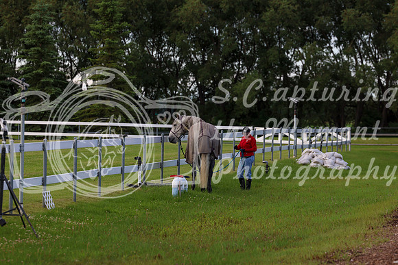 00001 - 2026 Dressage Festival - Sunday July 5th