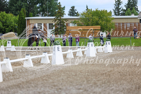 02649 - 2026 Dressage Festival - Sunday July 5th