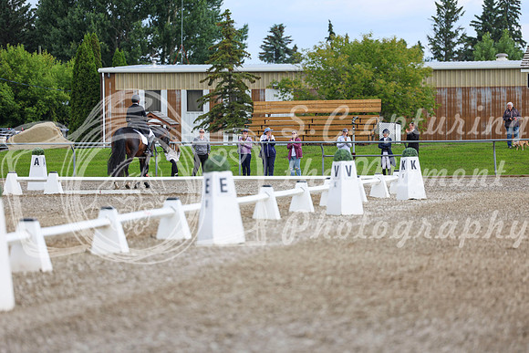 02650 - 2026 Dressage Festival - Sunday July 5th