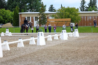 02651 - 2026 Dressage Festival - Sunday July 5th