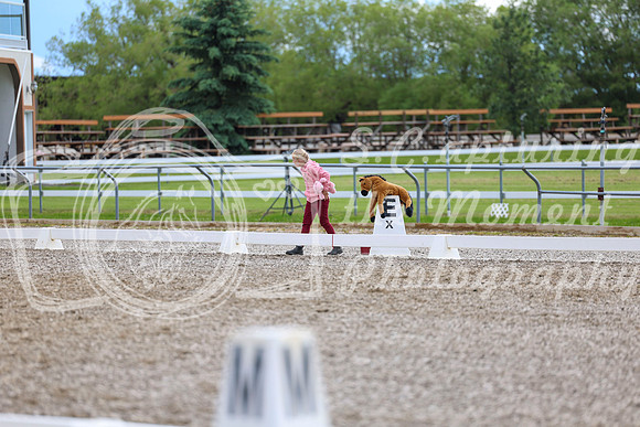 03261 - 2026 Dressage Festival - Sunday July 5th