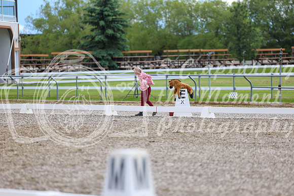 03262 - 2026 Dressage Festival - Sunday July 5th