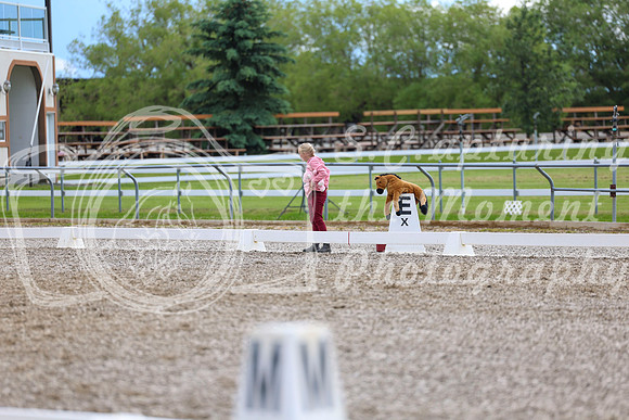 03264 - 2026 Dressage Festival - Sunday July 5th