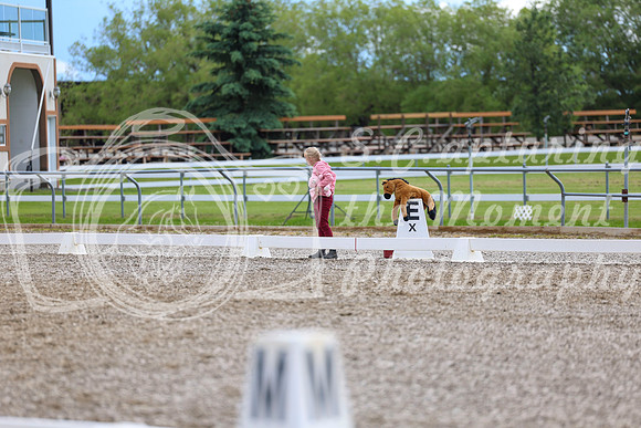03265 - 2026 Dressage Festival - Sunday July 5th
