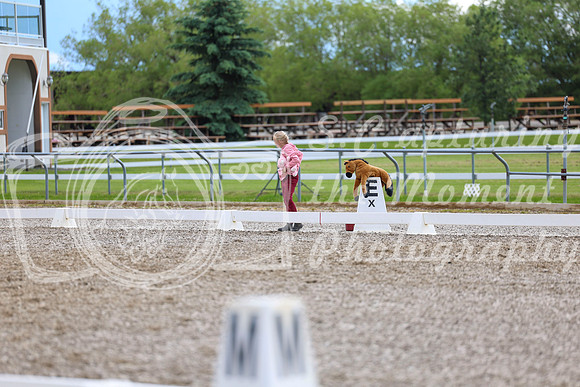 03267 - 2026 Dressage Festival - Sunday July 5th