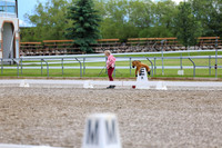03268 - 2026 Dressage Festival - Sunday July 5th