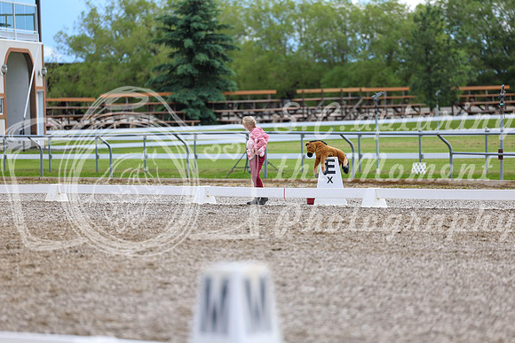 03268 - 2026 Dressage Festival - Sunday July 5th