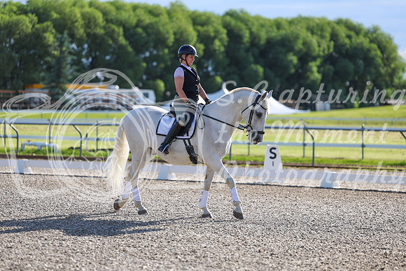 00516 - 2026 Dressage Festival - Sunday July 5th