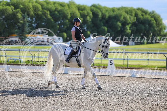 00517 - 2026 Dressage Festival - Sunday July 5th