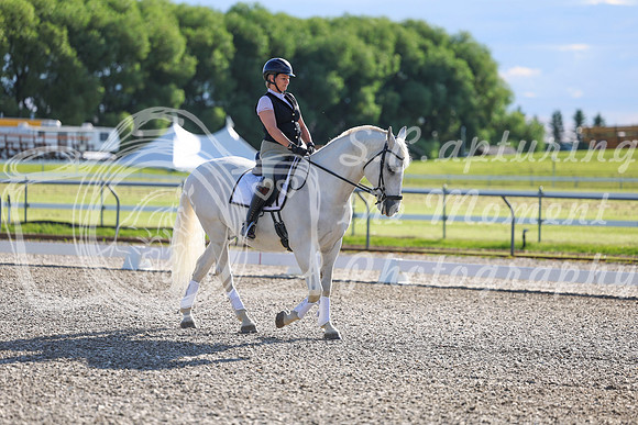 00519 - 2026 Dressage Festival - Sunday July 5th