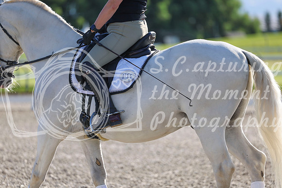 00527 - 2026 Dressage Festival - Sunday July 5th