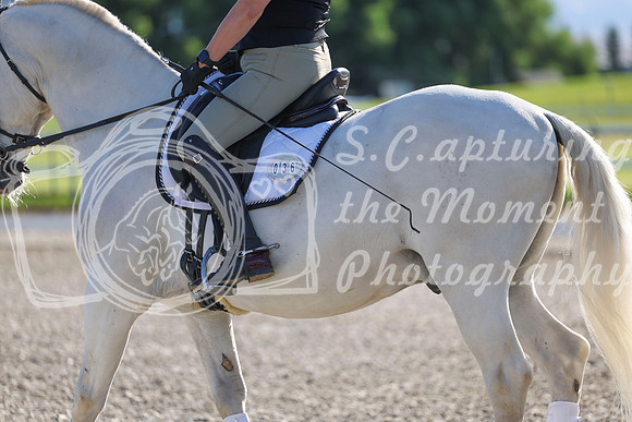 00528 - 2026 Dressage Festival - Sunday July 5th