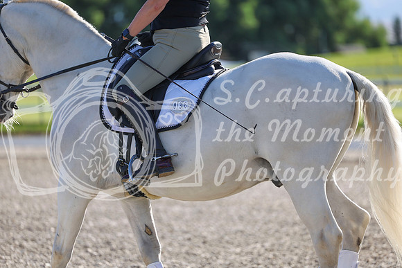 00529 - 2026 Dressage Festival - Sunday July 5th
