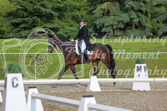 01603 - 2026 Dressage Festival - Sunday July 5th