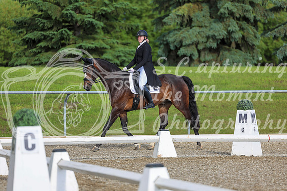 01604 - 2026 Dressage Festival - Sunday July 5th