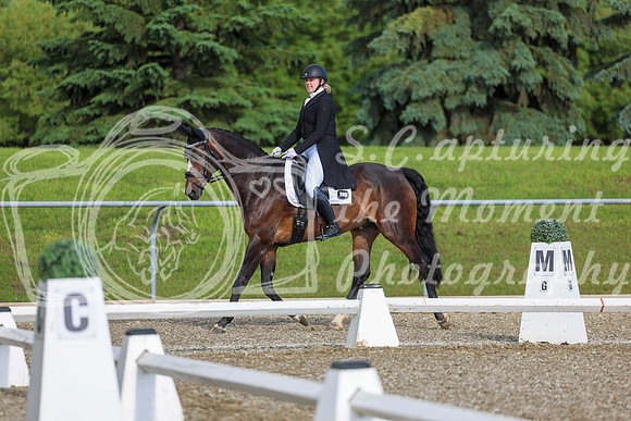 01605 - 2026 Dressage Festival - Sunday July 5th