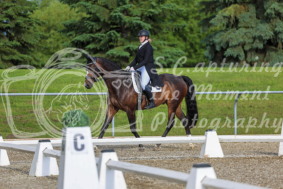 01606 - 2026 Dressage Festival - Sunday July 5th
