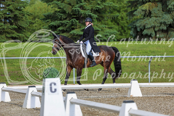 01608 - 2026 Dressage Festival - Sunday July 5th