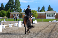 01617 - 2026 Dressage Festival - Sunday July 5th