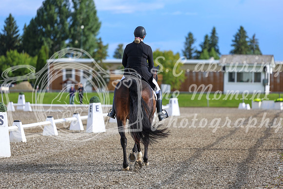 01617 - 2026 Dressage Festival - Sunday July 5th