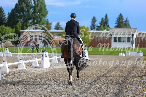01620 - 2026 Dressage Festival - Sunday July 5th