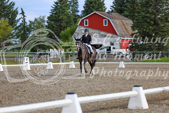 01622 - 2026 Dressage Festival - Sunday July 5th