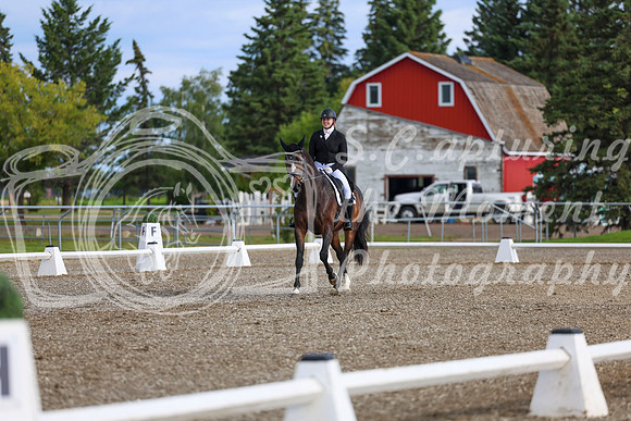 01624 - 2026 Dressage Festival - Sunday July 5th