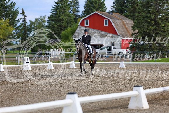 01623 - 2026 Dressage Festival - Sunday July 5th