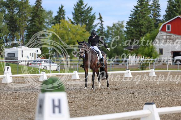 01627 - 2026 Dressage Festival - Sunday July 5th