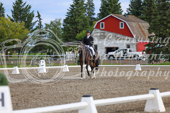 01626 - 2026 Dressage Festival - Sunday July 5th