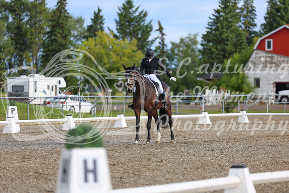 01628 - 2026 Dressage Festival - Sunday July 5th