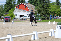 13987 - 2026 Dressage Festival - Sunday July 5th
