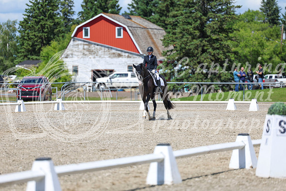 13987 - 2026 Dressage Festival - Sunday July 5th
