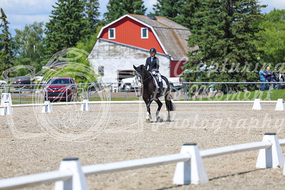 13990 - 2026 Dressage Festival - Sunday July 5th
