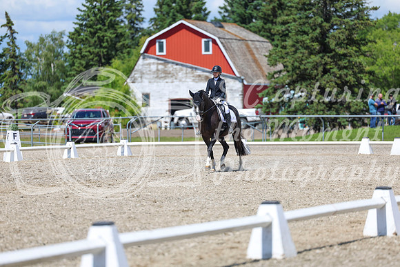 13991 - 2026 Dressage Festival - Sunday July 5th