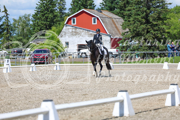 13992 - 2026 Dressage Festival - Sunday July 5th