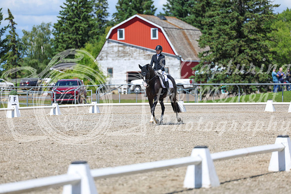 13993 - 2026 Dressage Festival - Sunday July 5th