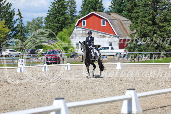 13995 - 2026 Dressage Festival - Sunday July 5th