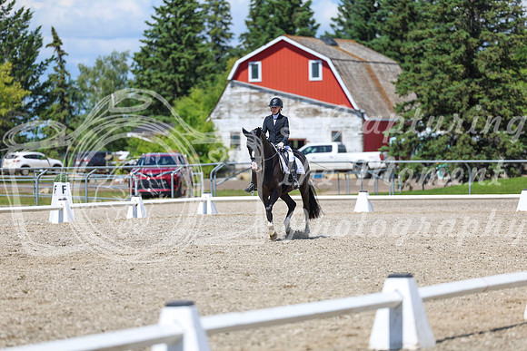 13994 - 2026 Dressage Festival - Sunday July 5th