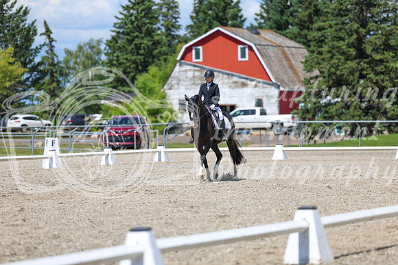 13996 - 2026 Dressage Festival - Sunday July 5th