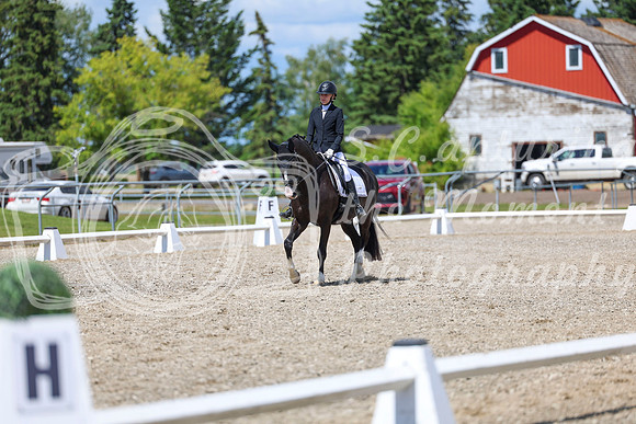13998 - 2026 Dressage Festival - Sunday July 5th