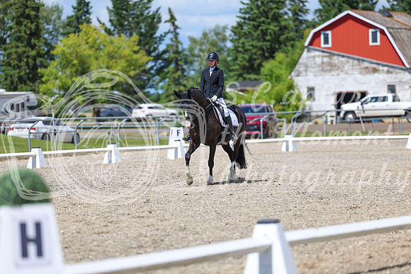 13999 - 2026 Dressage Festival - Sunday July 5th