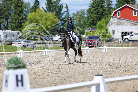 14001 - 2026 Dressage Festival - Sunday July 5th