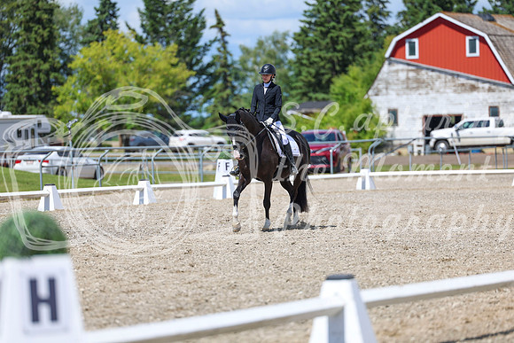 14000 - 2026 Dressage Festival - Sunday July 5th