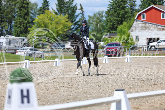 14003 - 2026 Dressage Festival - Sunday July 5th