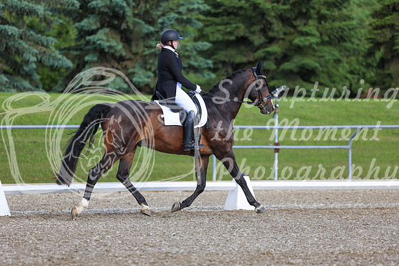 01662 - 2026 Dressage Festival - Sunday July 5th