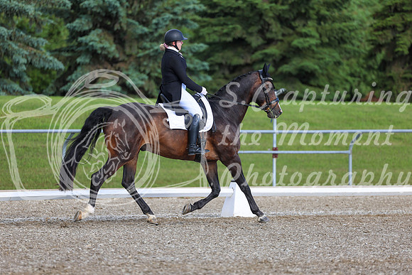01663 - 2026 Dressage Festival - Sunday July 5th
