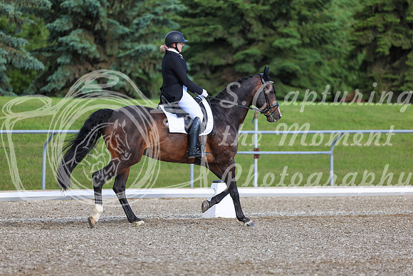 01665 - 2026 Dressage Festival - Sunday July 5th