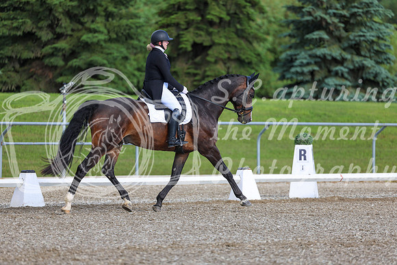01666 - 2026 Dressage Festival - Sunday July 5th